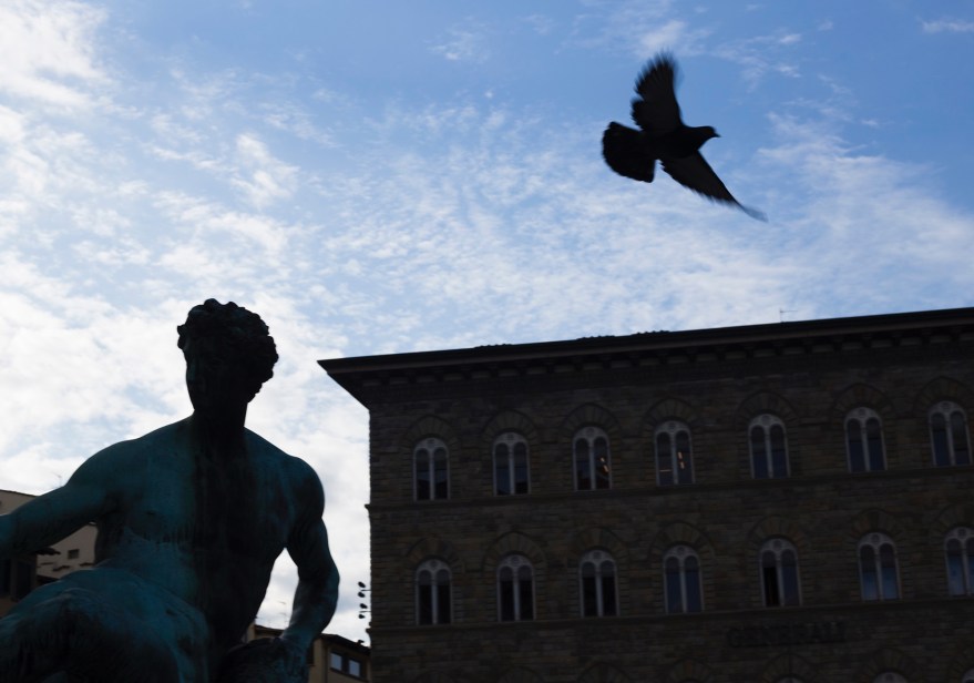 A pigeon flies off the head of a statue at Piazza Signoria on Feb. 13, 2017.